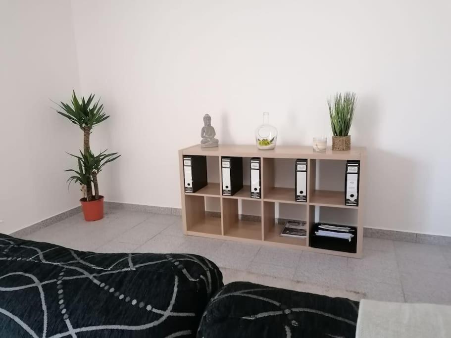 Cantinho Dos Montes Apartment Vila Real Exterior photo